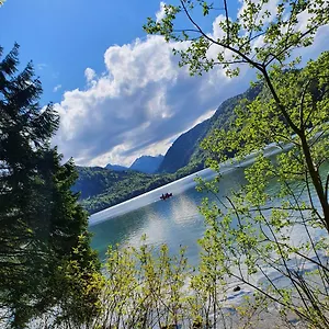 https://ferienwohnung-alpen-sunshine-fussen.com-bavaria.com